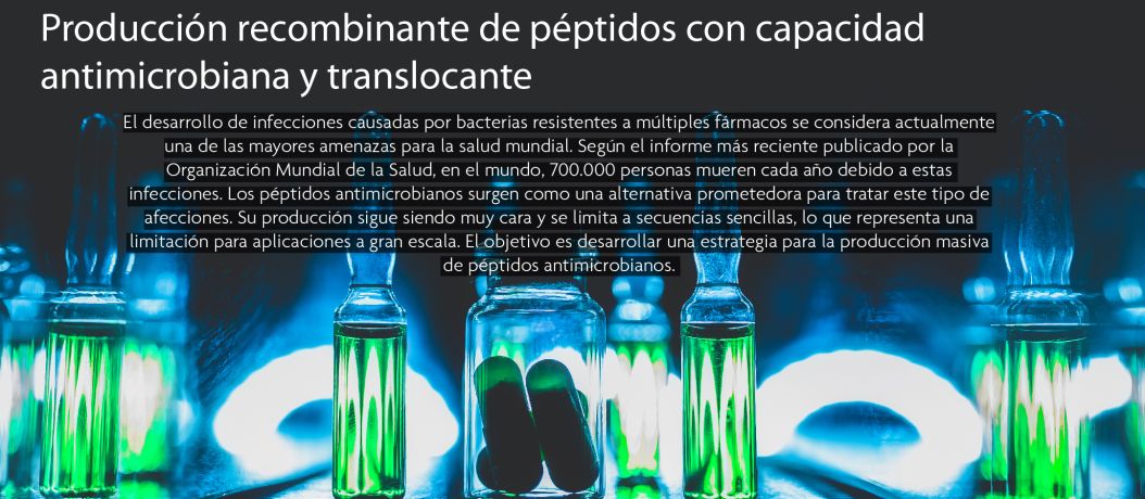 Producción recombinante de péptidos con capacidad antimicrobiana y translocante.