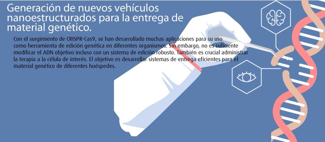 Generación de nuevos vehículos nanoestructurados para la entrega de material genético