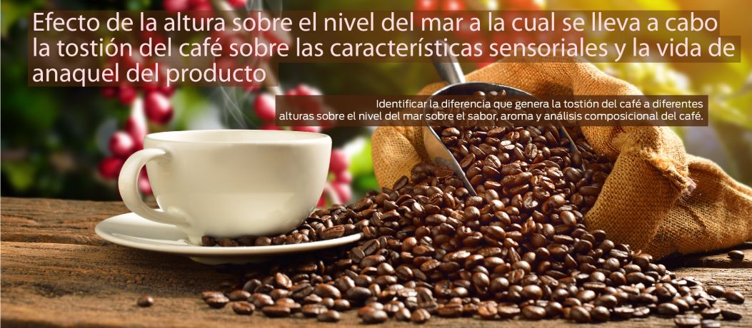 Efecto de la altura sobre el nivel del mar a la cual se lleva a cabo la tostión del café sobre las características sensoriales y la vida de anaquel del producto
