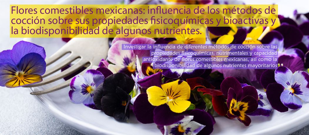 Flores comestibles mexicanas: influencia de los métodos de cocción sobre sus propiedades fisicoquímicas y bioactivas y la biodisponibilidad de algunos nutrientes.