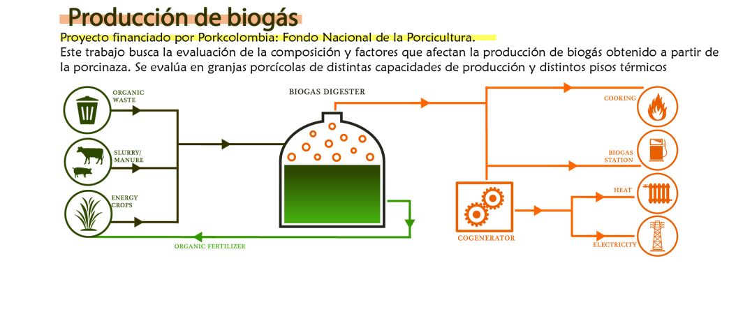 Producción de biogás