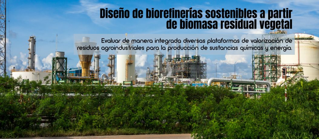 Diseño de biorefinerías sostenibles a partir de biomasa residual vegetal