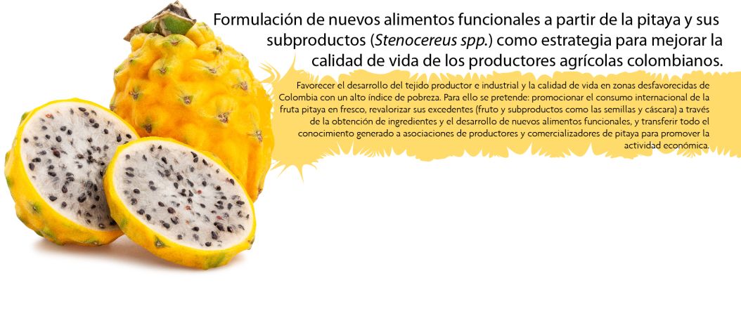 Formulación de nuevos alimentos funcionales a partir de la pitaya y sus subproductos (Stenocereus spp.) como estrategia para mejorar la calidad de vida de los productores agrícolas colombianos.